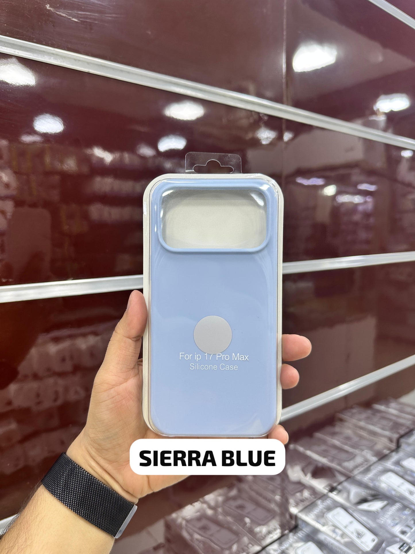 Silicone Case Sierra Blue - 11 to 17 Pro Max